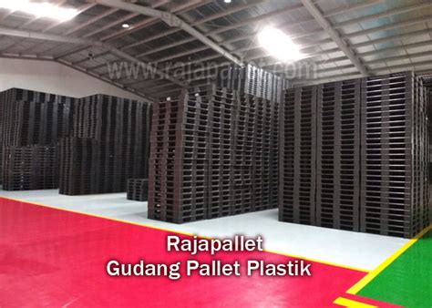 Raja Pallet (@rajapallet) Twitter