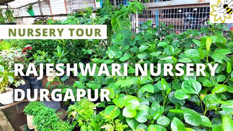 Rajeshwari Nursery PlantPik.com