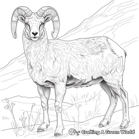 Ram Coloring Page