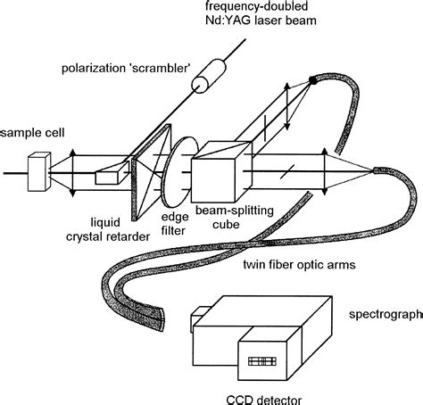 Raman Optical Activity Spectroscopy - Hug - 2001 - Major …