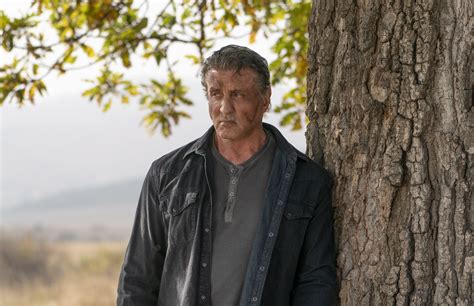 Haziran Ayıkla genişlik rambo 4 tek parça coşku ödenmemiş çürük