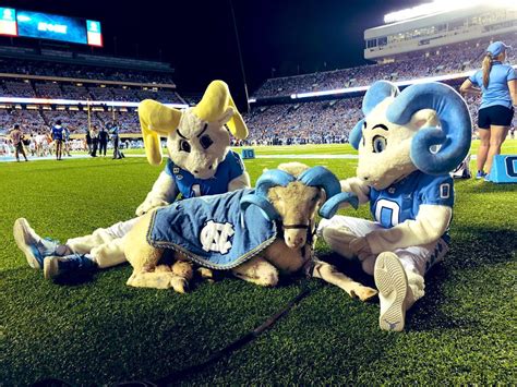 Rameses (@Rameses_UNC) / Twitter