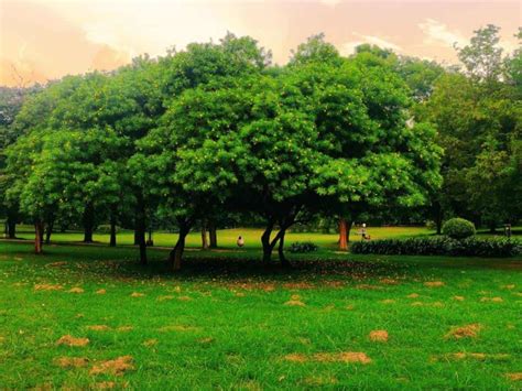 Ramirez Green Photo Hyderabad