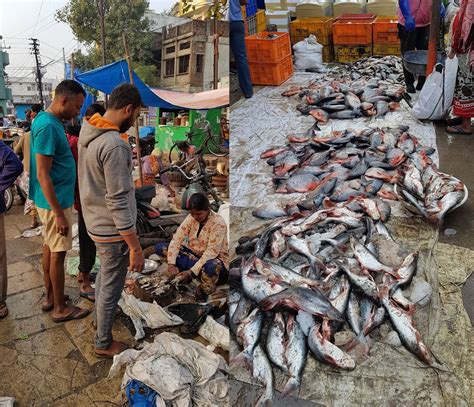 Ramnagar Fish Market in the city Hyderabad