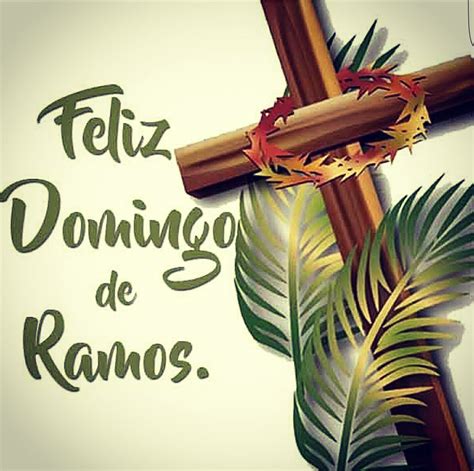 Ramos Wood Whats App Santo Domingo
