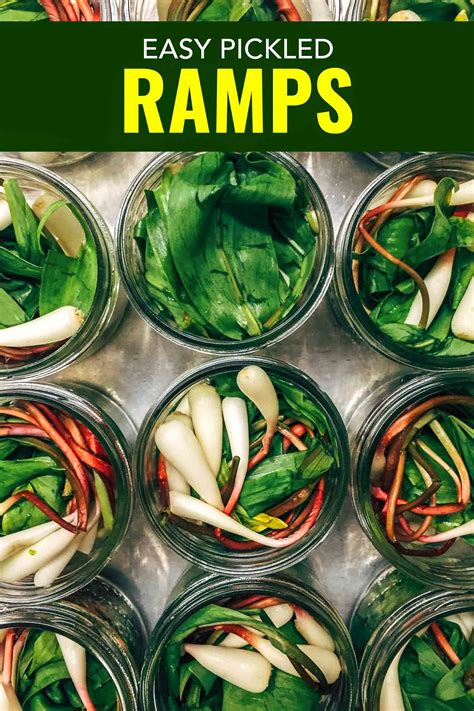 Ramp nutrition. Things To Know About Ramp nutrition. 