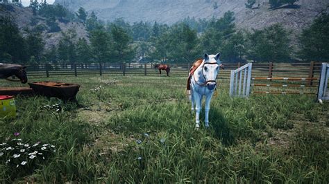 Ranch Simulator Torrent Oyun indir.