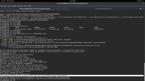 Rancheros gluster. 1 Docker Version: 1.  Their automation, deployment speed, and...