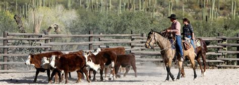 Ranches - Tioga Tours