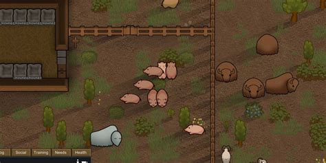 Ranching rimworld.  They actually work the same as ducks, but ducks consume...