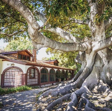 Rancho los alamitos. Rancho Los Alamitos, Long Beach: "Are there any picnic tables or benches available?" | Check out answers, plus see 97 reviews, articles, and 50 photos of Rancho Los Alamitos, ranked No.12 on Tripadvisor among 409 attractions in … 