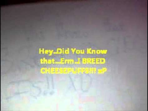 Random Chat 1 YouTube