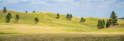 Rangeland and Riparian Health in the Eastern Grasslands of Custer ...