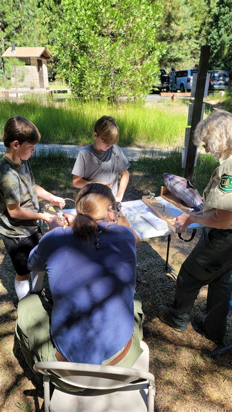 Ranger Programs - Stanislaus National Forest - Sonora …