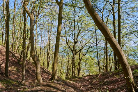 Rangerwanderung in die Granitz