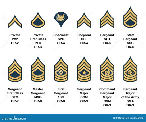Rank sp4. SP4 is a Specialist, E-4, which is one step (rank) above a PFC, Private 1st class, E-3 and one step (rank) below a Sergeant, Sgt., E-5. A Private is an E-1 which is the rank most soldiers get out ... 