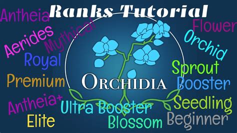 Ranks Orchidia Tutorial - YouTube