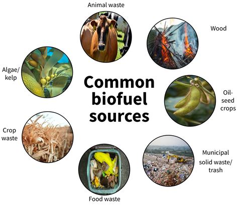 Rapid Evaluation of Biomass Properties Used for Energy