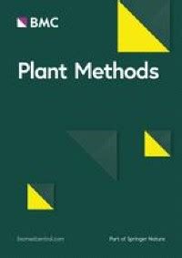 Rapid non-destructive method to phenotype stomatal traits