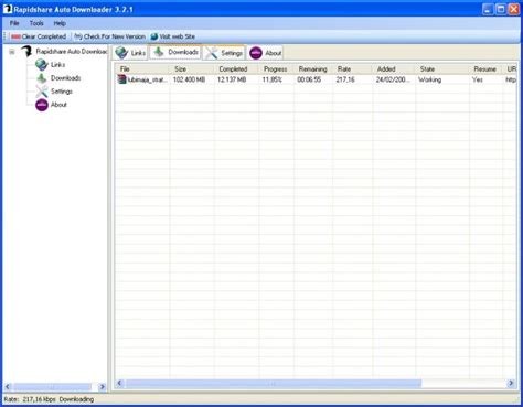 Rapidshare Auto Downloader for Windows