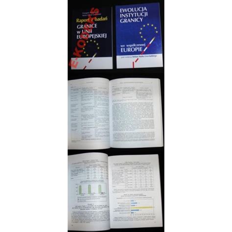 Raport z badań granice w unii europejskeij. - Instruction manual for janome sewing machine 6125.