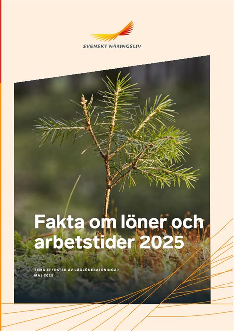 Rapport om fakta