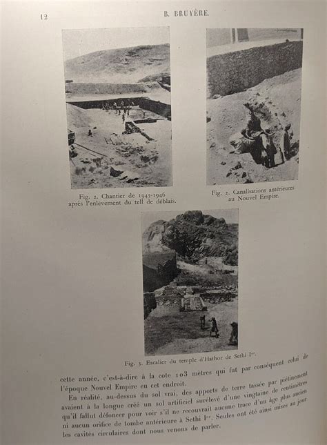 Rapport sur les fouilles de deir el médineh (années 1945 1946 et 1946 1947). - Pocket handbook of small animal medicine.