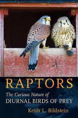 Raptors The Curious Nature of Diurnal Birds of Prey
