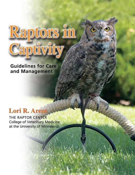 Raptors in captivity guidelines for care and management. - Nissan d22 workshop repair manual download.