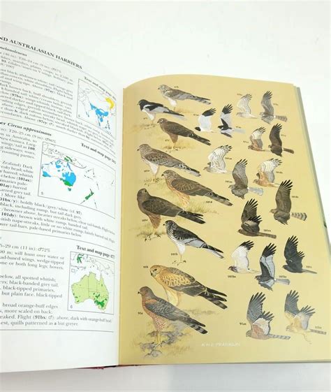 Raptors of the world id guide. - Manuales de servicio gratuitos para acura tl 2005.