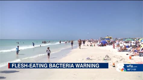 Rare, flesh-eating bacteria has killed 5 in Tampa Bay area since January