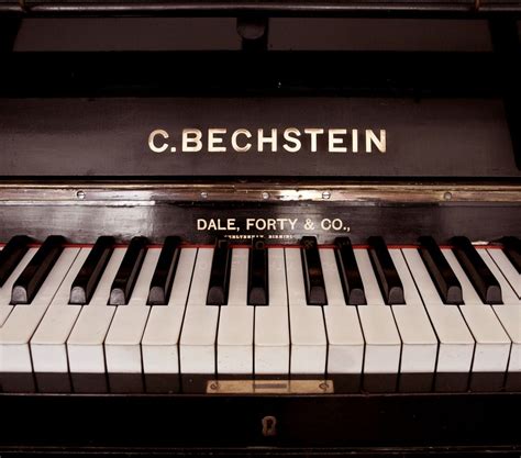 Rare Bechstein