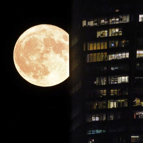 Rare blue supermoon brightens the night sky this week in the closest full moon of the year