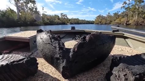 Rare discovery: Fully intact mammoth jaw found in Florida’s gator-infested waters