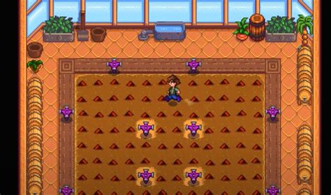 Rare seed stardew. Please don't plant ancient seeds on the last day of summer. Getting only one harvest you'd be lucky to break even. They need to go in at or near the first day of spring so you can get at least 8 harvests. That way you have enough fruit to make some jelly and/or wine, and still have enough left over to make seed for the following year. 
