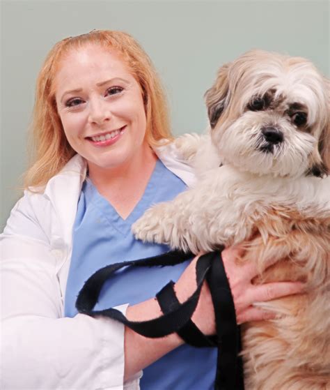 Raritan animal hospital. Learn more about Westgate Animal Hospital. Count on our 48+ years of experience. Since 1991. Locally owned. Call 253-752-6161. 
