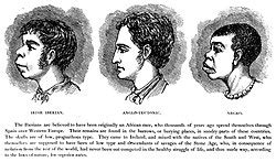 Rasifiering &ndash; Wikipedia