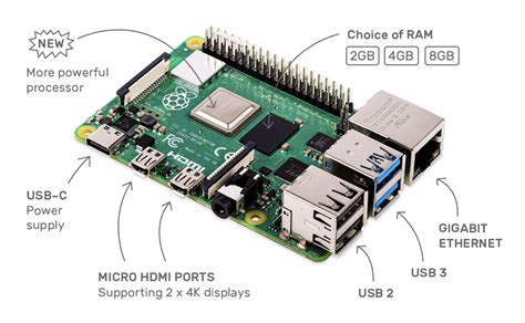 codini.rgarabwor.edu.pl. 