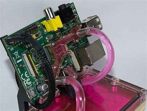 veodersti.rgarabwor.edu.pl. 