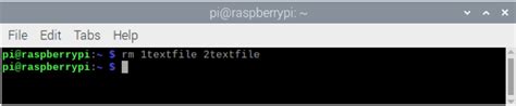 Raspberry pi delete file.  Knowing how to deletes files or folders is ve...