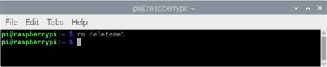 Raspberry pi delete file.  Whether you're clearing space or cleaning up after a pr...