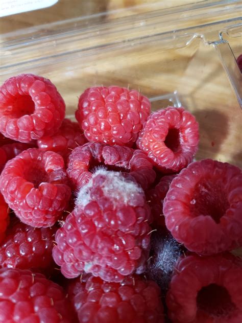 Raspberry.Fuzz Leaks 🍌 [HD]