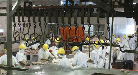 veodersti.rgarabwor.edu.pl. 