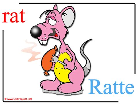 Rat - Wörterbuch Deutsch-Englisch - WordReference.com