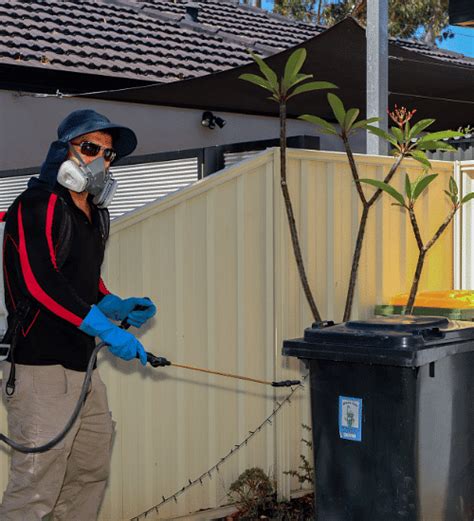 Rat Control Perth - Loin Pest And Weed Control