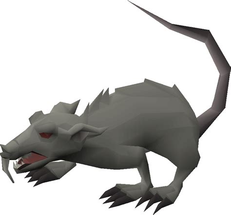 Hell-Rat. Vermin from the underworld. Hell-rats are found in Evil Dave 's basement in Edgeville and can only be accessed after starting the Evil Dave subquest in Recipe for Disaster. Hell-rats are caught by having your cat …. 