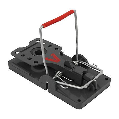 Buy Harris Rat Glue Traps, Fully Disposable (2 pk., 4 Traps Total) at Tractor Supply Co. Great Customer Service. ... Applies to first qualifying Tractor Supply purchase made with your new TSC Store Card or TSC Visa Card within 30 days of account opening. Must be a Neighbor’s Club member to qualify. You will receive $20 in Rewards if your .... 