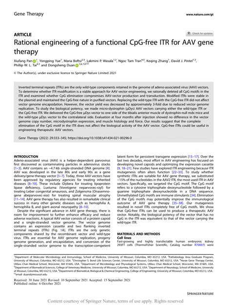 Rational engineering of a functional CpG-free ITR for AAV …