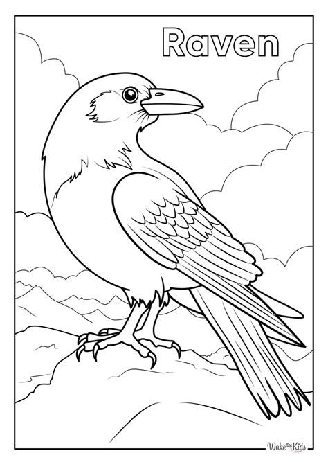 Raven Coloring
