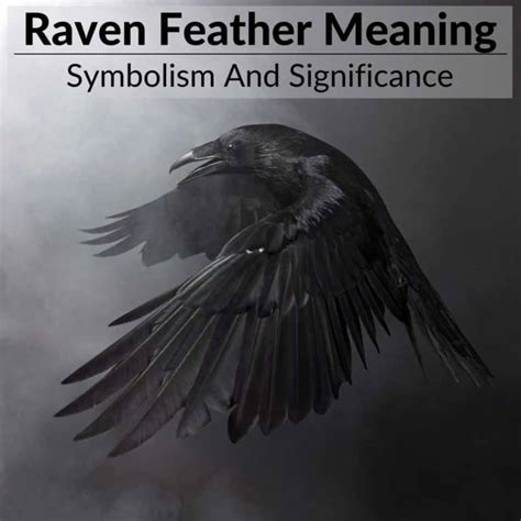 Raven Feather Meaning Symbolism And Significance The Full Guide